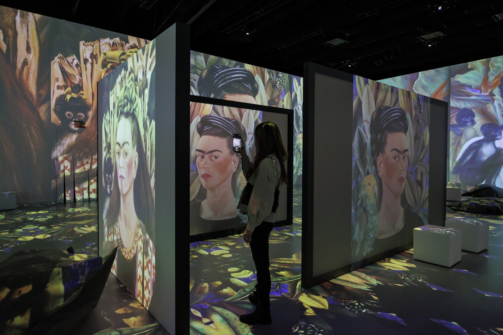 Frida Kahlo - Immersive Ausstellung