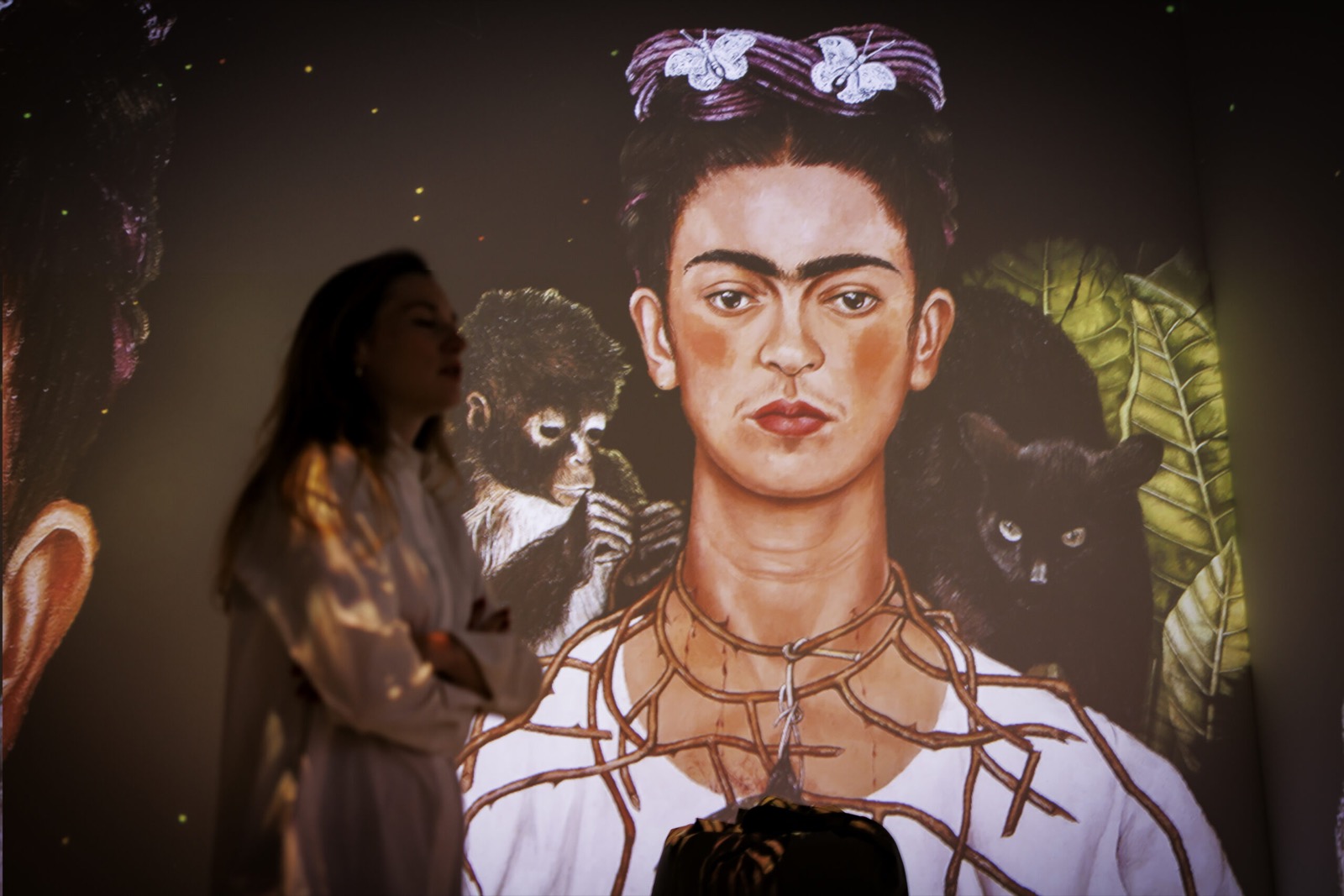 Frida Kahlo - Immersive Ausstellung