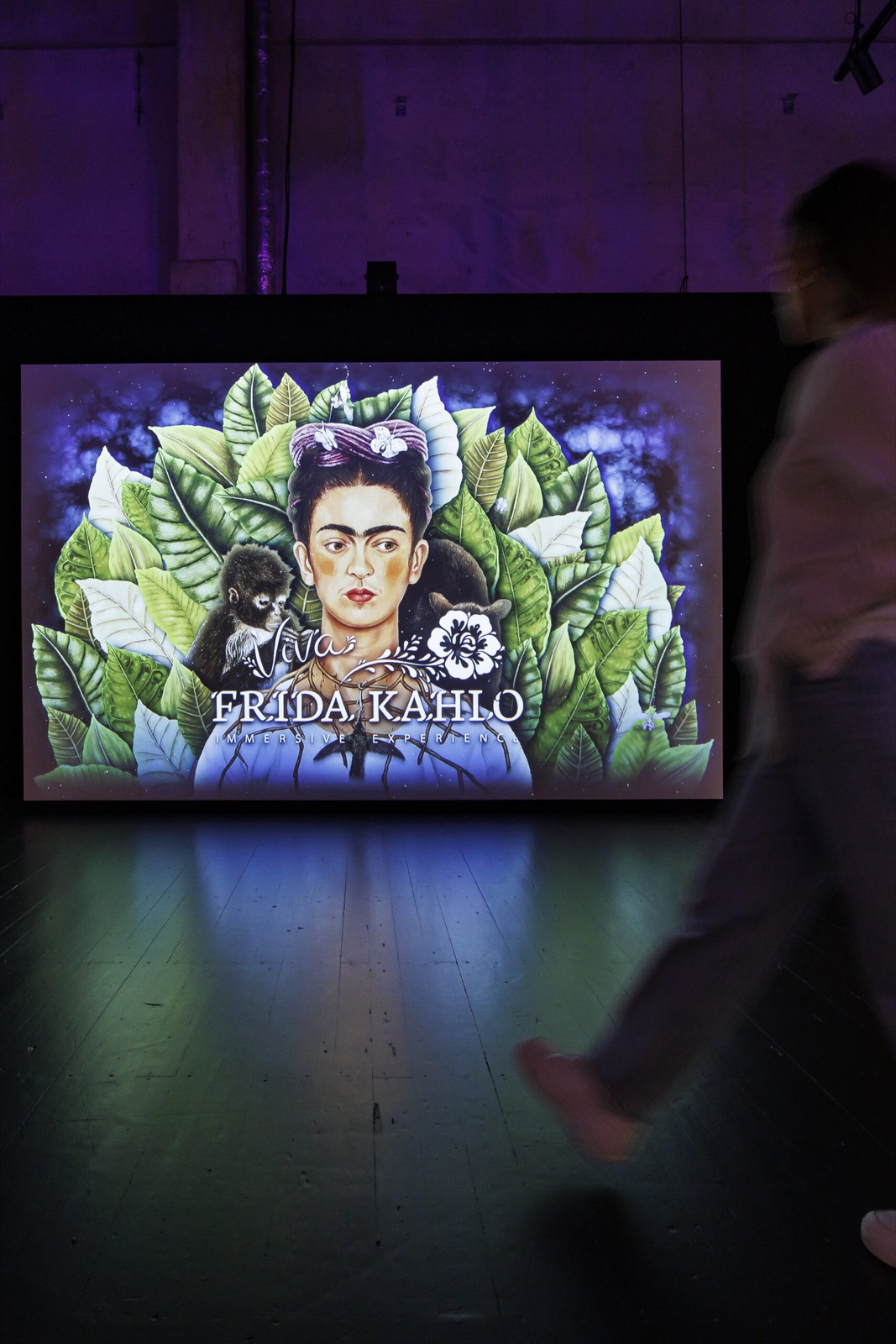 Frida Kahlo - Immersive Ausstellung